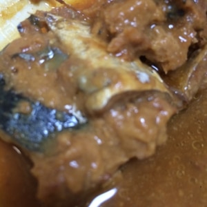 さばの醤油煮？生姜煮？味噌煮？圧力鍋で手軽に!!